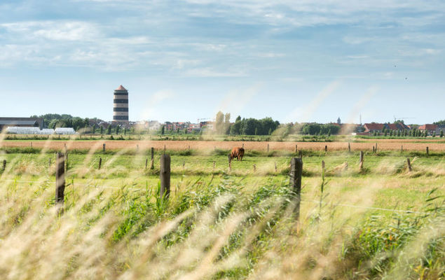 Residentie Astrid - Photo 10