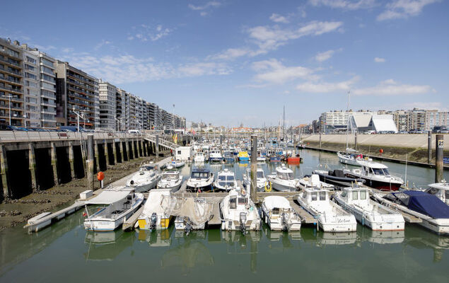 Ocean Dream with seaview - Photo 16