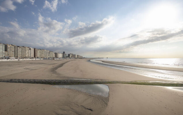 Ocean Dream with seaview - Photo 20