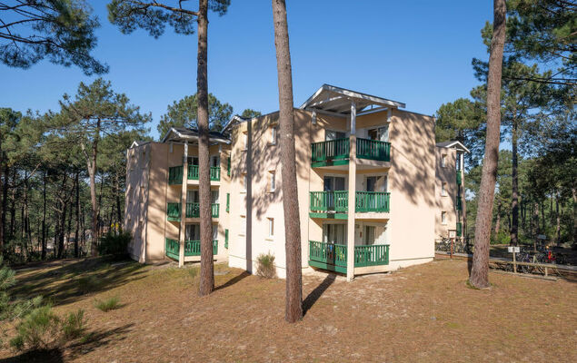 Les Grands Pins - Photo 22