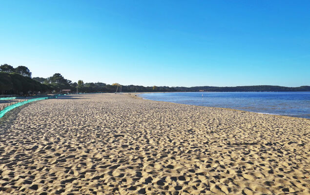 Les Grands Pins - Photo 26