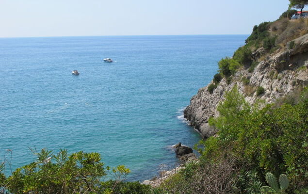 Al Campanile - Photo 36