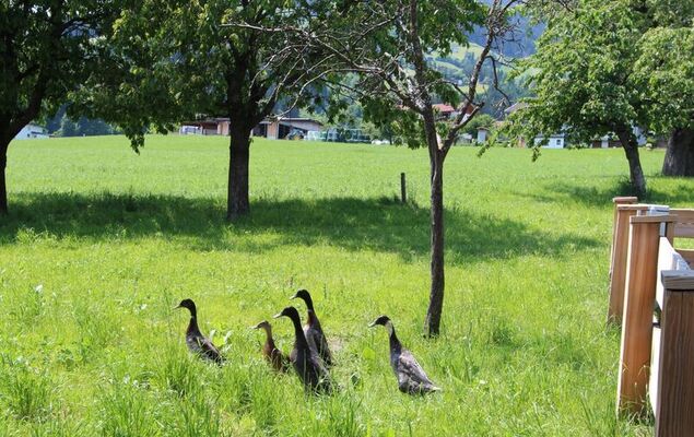 Gasteighof - Photo 13