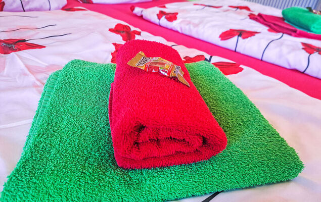 Appartement 2 - Photo 22