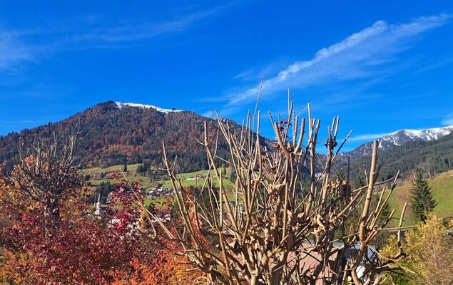 Appartement 2 - Photo 27