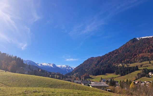 Appartement 2 - Photo 31