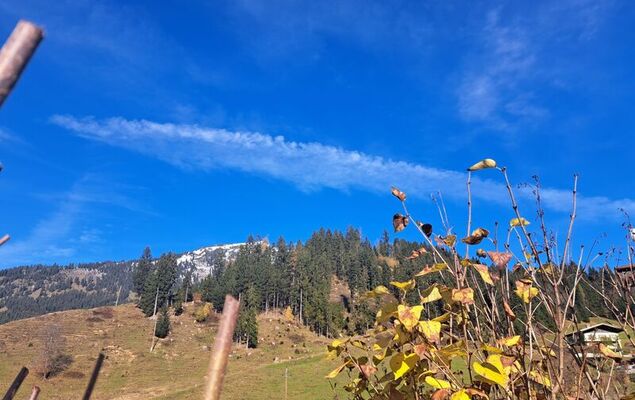 Appartement 2 - Photo 32