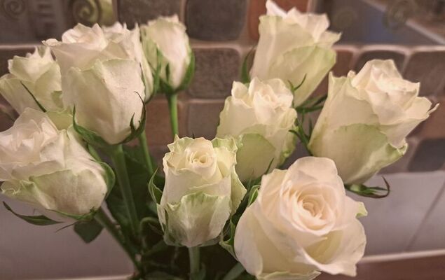 Appartement 2 - Photo 43