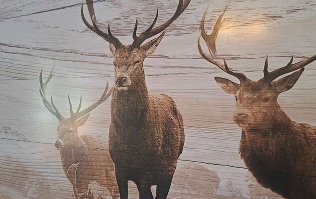 Appartement 2 - Photo 46