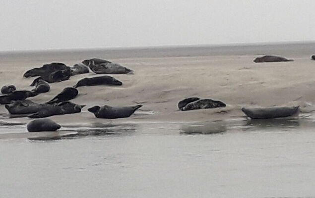 Le Refuge - Photo 22