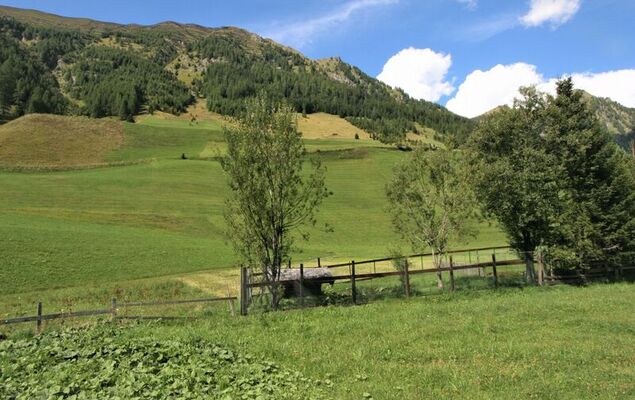 Mucherhof - Photo 25