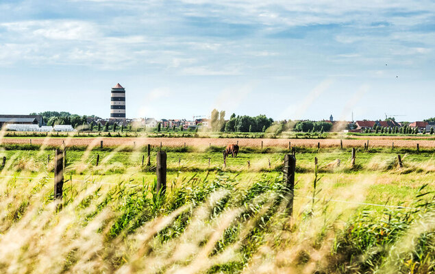 Sea Garden ground floor with garden - Photo 10