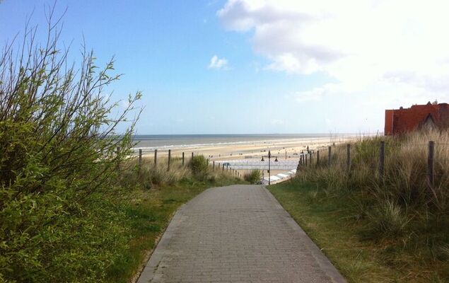 Sea Garden ground floor with garden - Photo 13