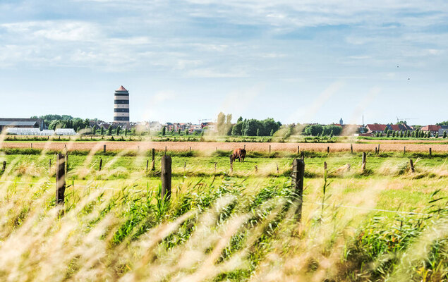 Vosseslag I sunny - Photo 16