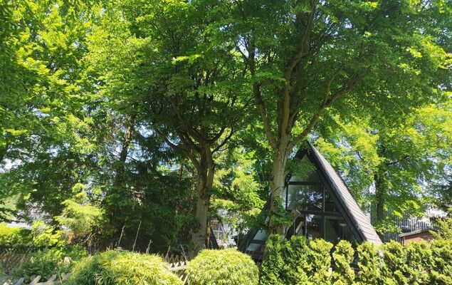 Hexenhaus im Harz - Photo 24